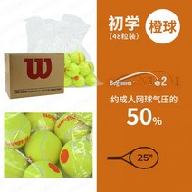 wilson 테니스공 스타터팩 Wilson테니스공 엑스트라 US오픈 윌슨 공인구 공 스탠다드 듀티, 04
