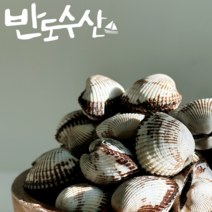 (당일출고) 산지직송 벌교 꼬막 특왕대 3kg 꼬막비빔밥 꼬막무침, 가장큰사이즈특상3kg