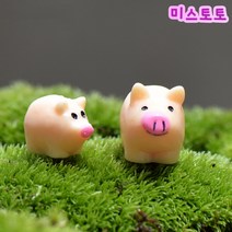 미스토토 테라리움 만들기 재료 미니돼지2종 세트