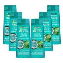 가르니에 코코넛 워터 샴푸 250ml x 6 지성 두피 건성 모발용 독일 내수용