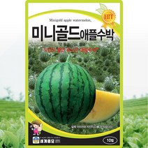 미니골드애플수박 씨앗 10립 맛 좋고 당도와 식감이 좋은 속노란 여름과일 수박씨 채소종자, 단품