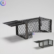 쥐덫망 쥐잡는법 쥐덪 쥐덧 덪 쥐퇴치 덫 덪