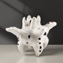 갓손 불가사리 타입 배마사지 더 깊게 파고 들어가는 림프 장기 복부 마사지, 포핸드