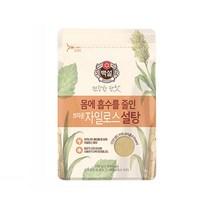 CJ백설 자일로스 브라운설탕 500g, 1, 본상품선택