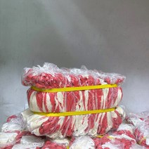 STIX 반코팅 면장갑, 혼합색상, 40개입