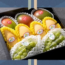 [요리하는남자들] 단품 혼합 과일 명절 추석 선물세트 14종, 애플망고3+태국망고4+샤인머스켓2 선물세트
