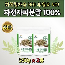 자전자피 식물성 식이섬유소 순수 차전자피 100프로 가루 2통 화이버지 인도산 식이섬유 많은 음식 식품 영양 분말 파우더 장 질경이 피 껍질 재수생 고3 고등학생 여성 남성 어른