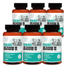 장용성 락토페린 식약처 해썹인증 스키니랩 락토페린 다이어트300mg 락토페린 프리미엄 정3000mg + 2개 이상 구매시 종근당 사은품 증정!!, 락토페린 360정 12개월