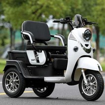 전기스쿠터 노인전동차 3 전동 바이크 세발 삼륜, 바구니A(배터리충전기X디스크브레이크3개)60V