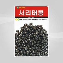 슬로시 슬로시 열매 씨앗 고추 토마토 콩 씨 종자, 서리태콩30g(아람)