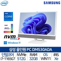 [삼성전자] 올인원 일체형PC DM530ADA-L78A_T6 i7 WIN11홈 탑재 가성비, 상세 설명 참조, 상세 설명 참조