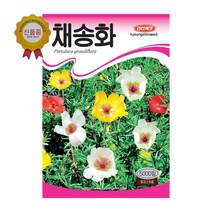 경신종묘 꽃씨앗 채송화(혼합종) 5000립