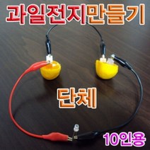 일음쇼핑^^*m향앤미과학 과일 전지 만들기 단체 10인용 실험교구 교육용키트 학습 교재일medi^*^, ab*^^선택없는