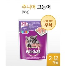 1살고양이 습식파우치 어린고양이사료 20P 보양식, 20개