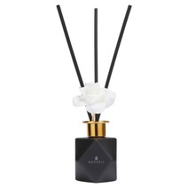 비나리즈 시그니처 블랙 디퓨저 100ml 세트/방향제/집방향제/화장실방향제/욕실방향제/섬유유연제향/집들이선물/새집선물/답례품/검은색, 스프링 솝 100ml set