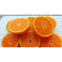 3kg 제주도 하우스 고당도 brix 당도선별 귤 감귤 밀감 가정용 선물용 선물세트 황금향 명절 추석 선물 설 선물, 감귤 대과 5kg