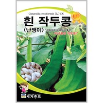 백 작두콩 10립 종자 씨앗 작두콩 키우기 채소 텃밭키우기