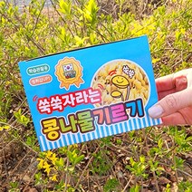 움직이는 병아리 태엽 장난감 노랑 병아리 부활절 어린이 단체 선물 동물인형 삐약이 콩나물키우기 벼재배 키트 공룡알 키우기 잔디인형 [엘리빅마켓], 5.콩나물기르기