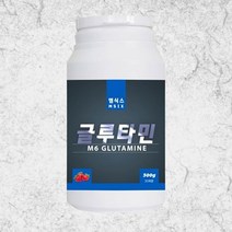 엠식스 BCAA 300G 헬스 보충제