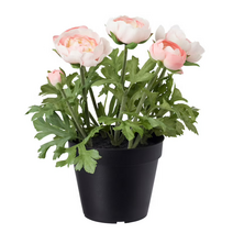 이케아 FEJKA 페이카 인조식물 실내외겸용 라눙쿨루스 핑크 12cm 903.953.18
