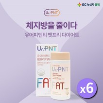 체지방 제지방 감소 다이어트 영양제 콜레우스 포스콜리 추출물 나이아신 배 뱃살 나오신 여성 분 낮은 기초대사량 증가 보조 건강 기능 식품, 6BOX(6개월분)