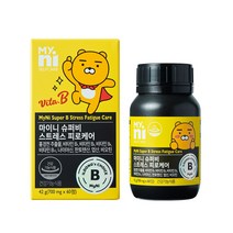 마이니 스트레스 케어비 피로케어 활력 비타민 에너지 홍경천 추출물 주부 수험생 피로개선, 2병, 60정(1개월분)
