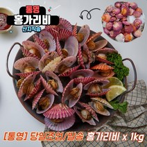 통영 홍가리비 세척 활 가리비 조개 구이 찜 캠핑 1kg 2kg 3kg 4kg 5kg