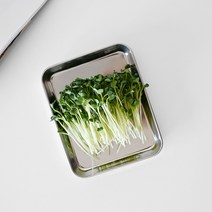 스텐 만능 조리 트레이 사각 접시 15.5cm, 스텐사각트레이15.5cm[1호]
