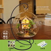 지혜 집 DIY 오두막 로맨틱에게 해 유리 공 손으로 조립 모델 장난감 미니 하우스 생일 선물, 미니 아일랜드 포레스트 드림