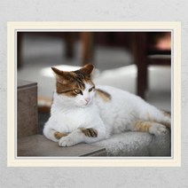 [바보사랑] ij247-요염한고양이_창문그림액자_뮤럴시트지[꾸밈], 상세 설명 참조, 타입선택:C타입-엘레강스골드