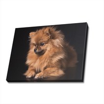 귀여운 강아지 사진 캔버스액자 (고객님 강아지 사진으로도 제작 가능합니다), DOG29