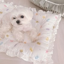 인견쿨베게방석