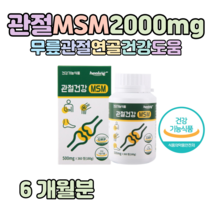 MSM 연골 관절 건강 힐링 엠에스엠 디메틸설폰 매일 2000mg 함량 무릎 손목 건강 도움 홈쇼핑 프리미엄 골드 영양제 성분 가격 효능 비교 부모님 선생님 선물, 6개월치, 500mg x 360정