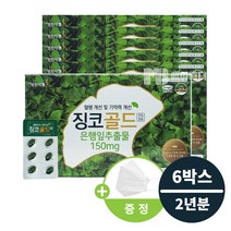 영진약품 징코골드 집중력 기억력 높이는 뇌 뇌기능 영양제 (KF94 마스크 증정) 머리 좋아지는 혈액 정맥 혈행 혈관 순환 손발저림 개선제 천연 은행잎 식약처 인증 건강기능식품, 120캡슐 x (2년분)