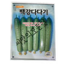 백강 다다기 오이씨앗100립 백침계백미오이종자 제농