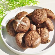 장흥 생표고버섯 1kg 최상급, 단품