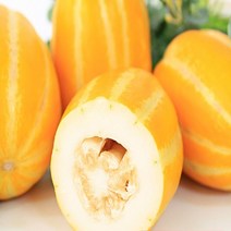 진짜 성주 꿀 참외 못난이혼합과 대용량11kg 29900원, 성주꿀참외 용량11kg 몬나니혼합과, 랜덤과, 1개