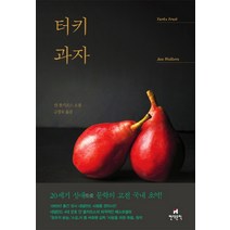 터키 과자:얀 볼커르스 소설, 현대문학, 얀 볼커르스