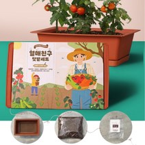 베란다 텃밭 미니당근 오이 방울토마토 플랜트박스 가정용식물 키우기 화분