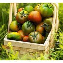 대저농협 GAP 저탄소 산지직송 S 로얄과 대저 짭짤이토마토 2.5kg 토마토효능