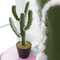 더리얼스 조화 인조 밍크선인장 화분 60cm 귀면각 규명각 장식용 대형선인장 용신목 멕시코