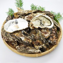 당일채취한 통영 생굴2kg 하프굴(반각굴)30개 석화(각굴)5kg 홍가리비2kg 선택구매_산지직송, 1개