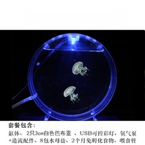 해파리키우기 관상용 수족관 해수어 니모 배면섬프, R