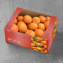 제주 레드향, 1개, 실속 5kg