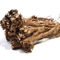 국내산 5년근 황기[강원도 5년생 고랭지 황기 / 2022년 햇황기 / 황기차], 5년근 고랭지황기(삼계백숙용 원형상품:300g)