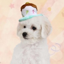 펫 미니 생일케익 머리띠