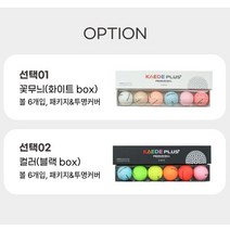 2022년 NEW 카에데플러스 3피스 6구 컬러볼/골프공/컬러볼/3피스/선물용/비거리, 컬러(블랙box)