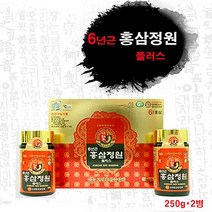 한지원 홍삼정원플러스(2병) 고려홍삼정 홍삼농축액 홍삼진액, 본상품선택