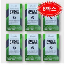 보스웰리아 영양제