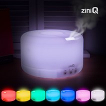 지니큐 ZQ-HM1000 대용량 간편세척 LED 무드등 가습기, 단품
